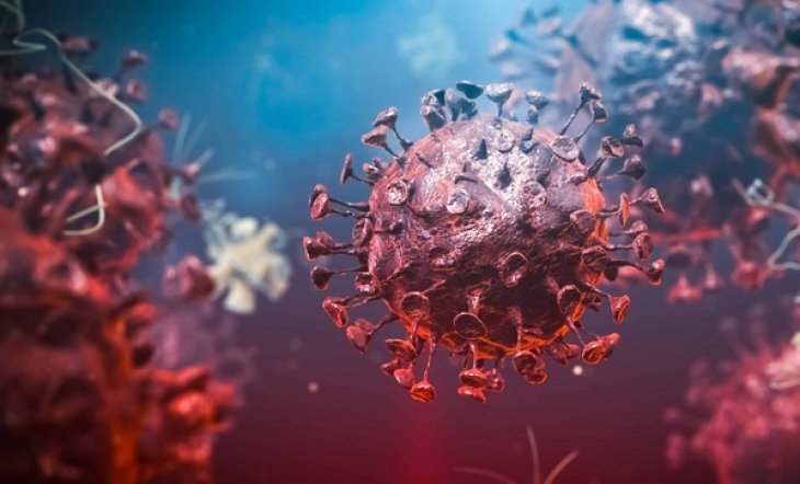 Türkiye'deki ilk koronavirüs vakasının kaynağı bulundu