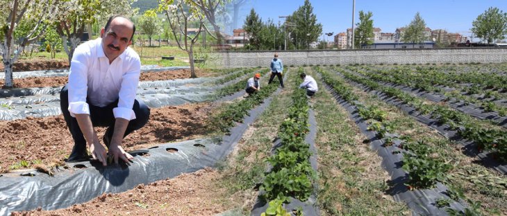 Başkan Altay: Çiftçimizin yanında olmaya devam ediyoruz