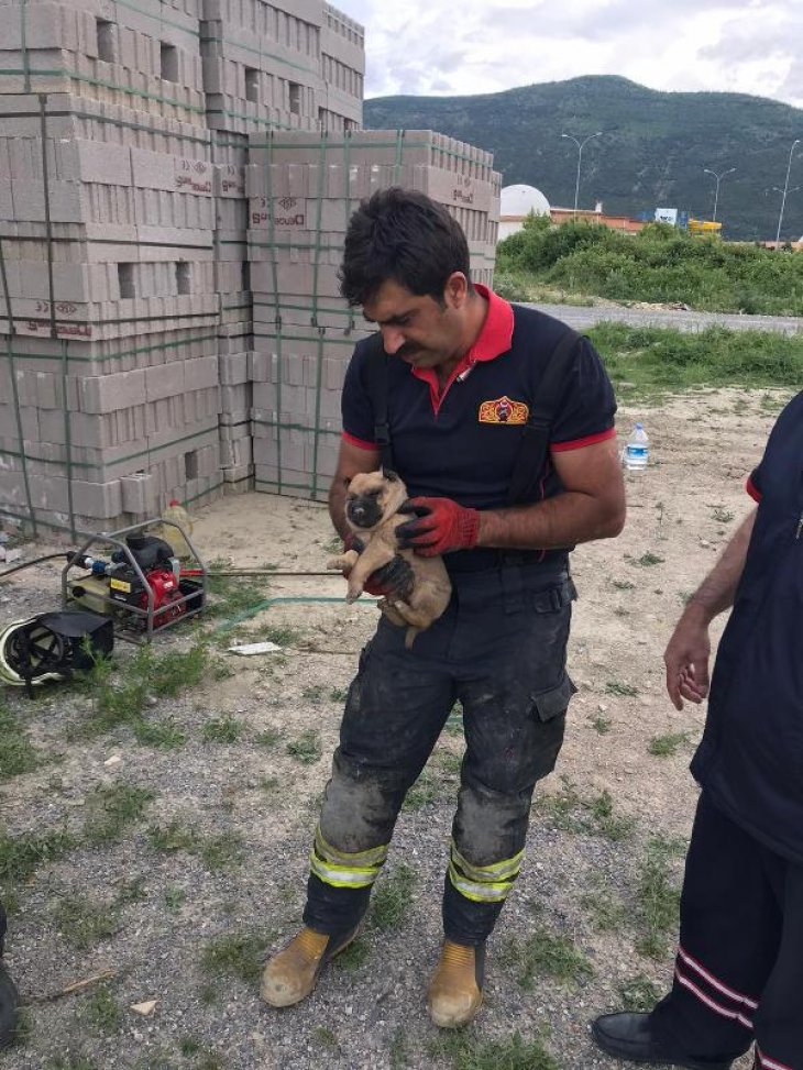 Konya’da briketler arasına sıkışan yavru köpekleri itfaiye kurtardı