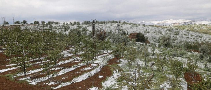 Konya'da kiraz bahçelerini kar vurdu