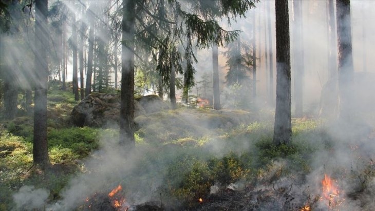 TikTok için hokkabazlık yaparken ormanı yaktı