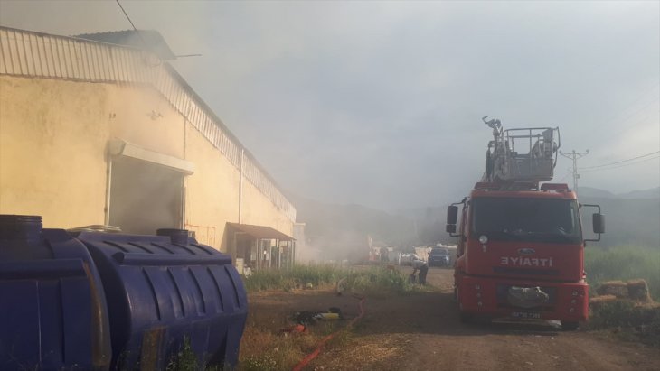 100 ton saman yangına kül oldu