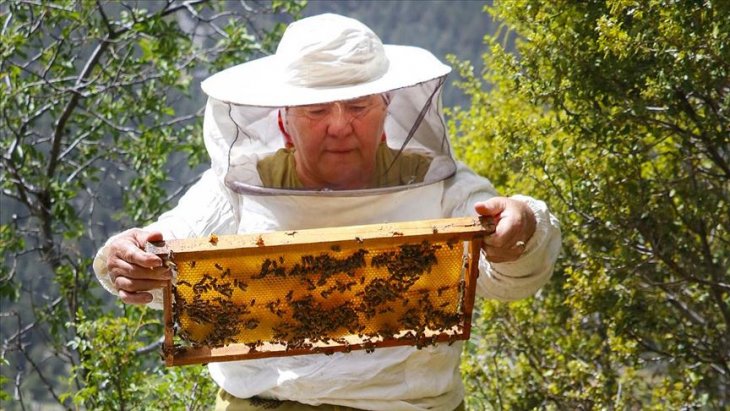 Eşinin vasiyeti arılar geçim kaynağı oldu
