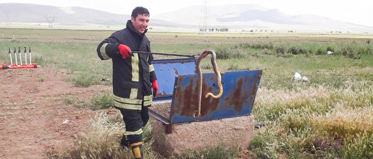 Konya'da rögarda iki yılan gören vatandaşlar itfaiyeden yardım istedi
