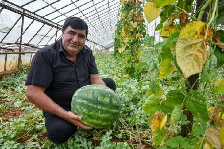 Ürettiği karpuzların öyle bir özelliği var ki, Türkiye’den sipariş yağıyor