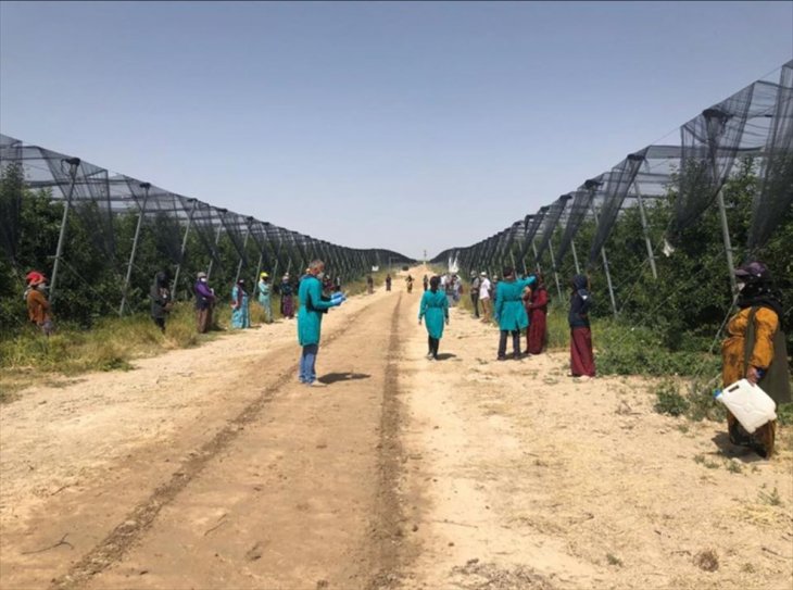 Konya'da mevsimlik tarım işçilerine sağlık taraması