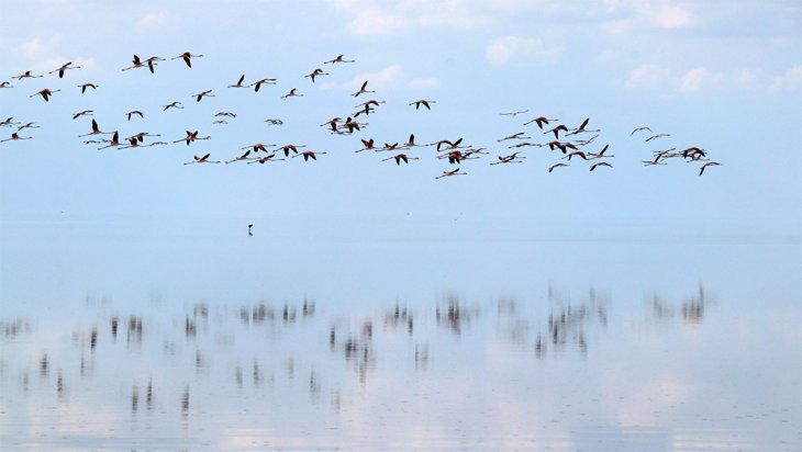 Tuz Gölü'nde görsel şölen