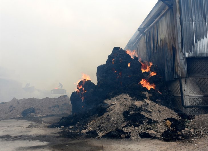 Yem fabrikasında korkutan yangın! Çok sayıda itfaiye ekibi müdahale ediyor