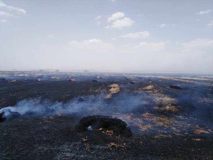 Bir yıllık emek yok kül oldu! 40 dönüm buğday ekili alan yandı