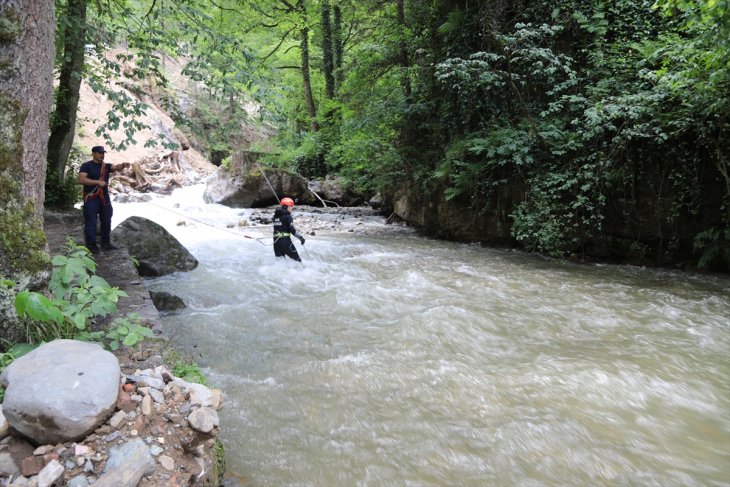 Dereye yuvarlanan kamyonetin sürücüsü aranıyor