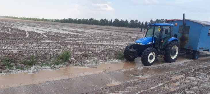 Kuvvetli sağanak ve dolu Kadınhanı ilçesinde ekili arazilere zarar verdi