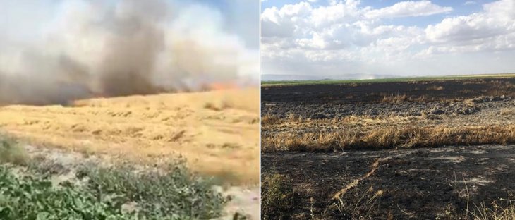 Konya'da arpa ekili tarla yangında kül oldu
