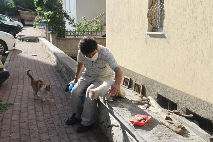 Sokak kedileri, her gün Konyalı mobilya ustasının aracını gözlüyor