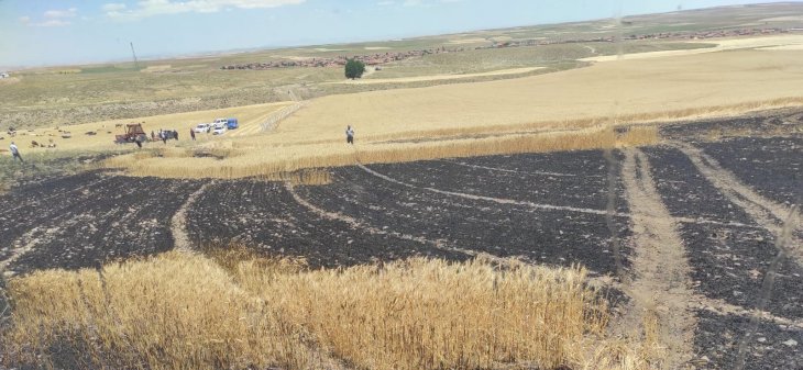 Bir yıllık emek kül oldu! Konya’da iki farklı bölgede ekin yangını