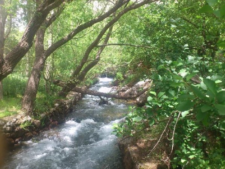 Su içmek için eğildiği çaya düşüp öldü