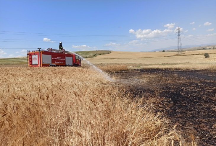 Konya'da hububat ekili alan yangında zarar gördü