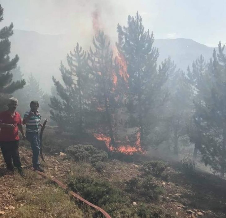 Konya’da orman yangını! Belediye Başkanı vatandaşlardan yardım istedi