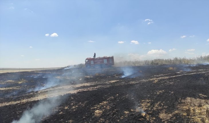 Konya'daki yangında 50 dekar arazide ekili buğday kül oldu