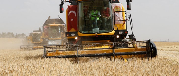 İşte hasat mevsiminin yaşandığı Konya'da hububat fiyatlarındaki son durum
