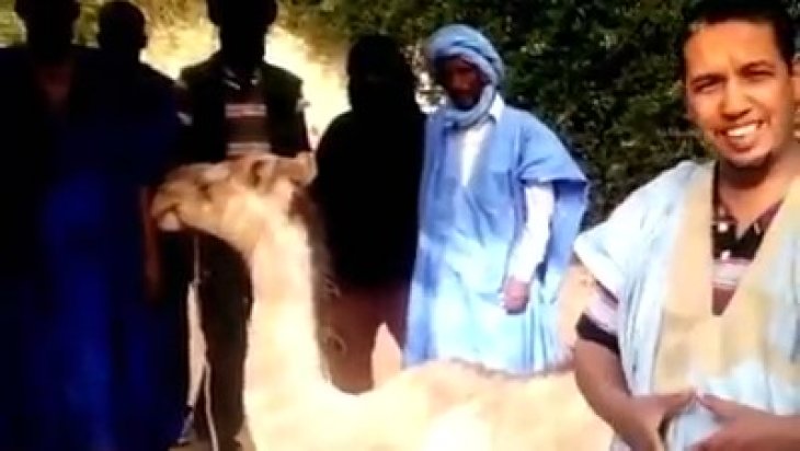 Ayasofya kararı sonrası develer kurban ediliyor