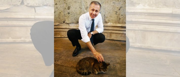 Konyalı Vali'den kedi 'Gli' paylaşımı