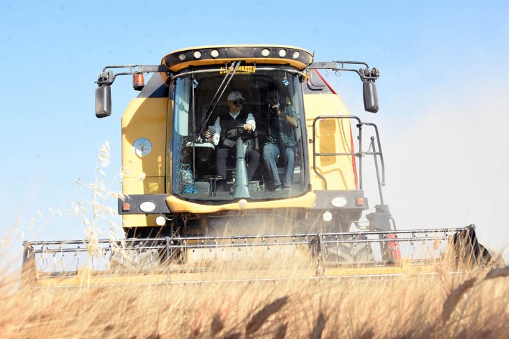 Tarım Bakanı Pakdemirli Konya’da biçerdöverle hasat yaptı