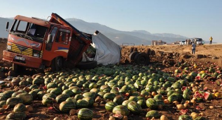 Devrilen kamyondaki 13 ton karpuz araziye saçıldı