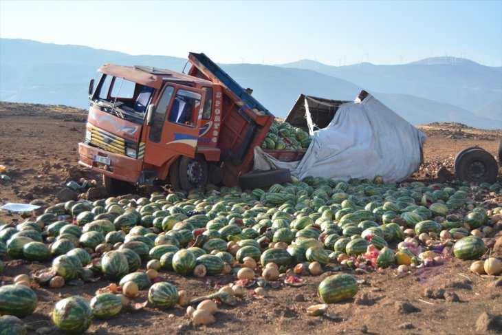 Kamyon devrildi, 13 ton karpuz araziye saçıldı