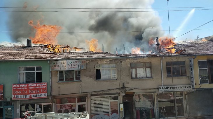 Konya’daki yangında acı tablo! 50’den fazla muhabbet kuşu yandı