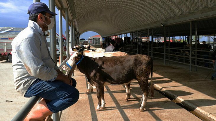 Bilim Kurulu Üyesi uyardı: Kurban Bayramı kritik eşik!