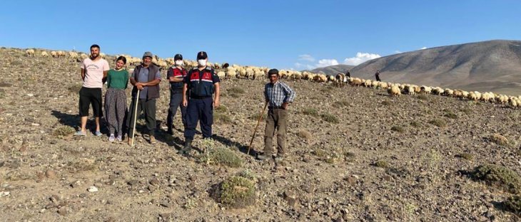 Konya'da kaybolan 300 koyunluk sürü 'drone' ile bulundu
