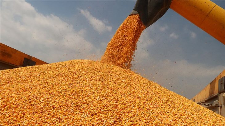 Bakan Pakdemirli mısır alım fiyatını açıkladı