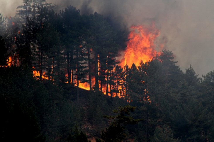 Beyşehir’deki orman yangını hala söndürülemedi