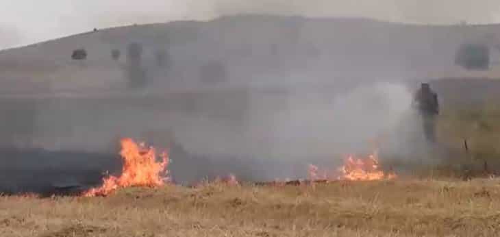 Yangından kurtarılan kaplumbağa, kana kana su içti