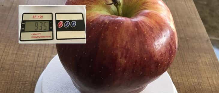 Görenler hayrete düştü! Tam 935 gram...