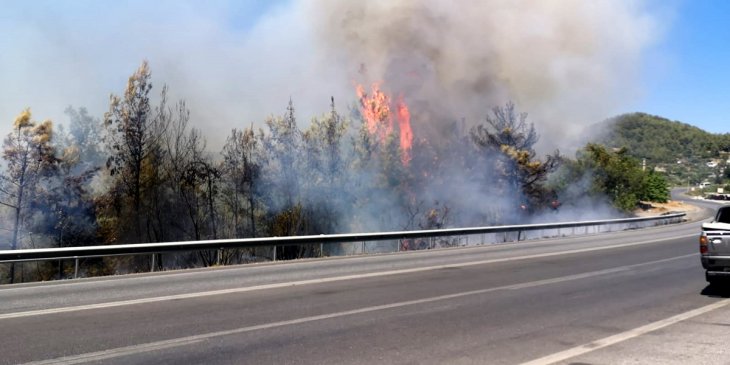 Konya yolunda lastiği patlayan TIR orman yangını çıkardı