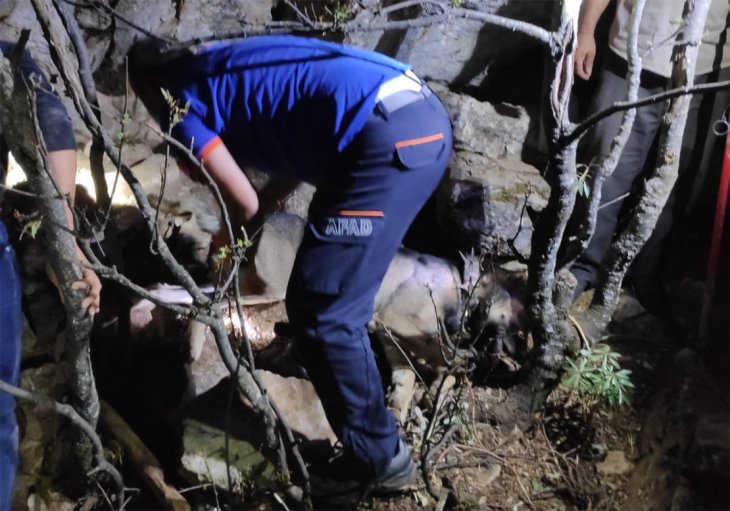 Konya'da kayalıklarda sıkışan çoban köpeğini AFAD ekipleri kurtardı