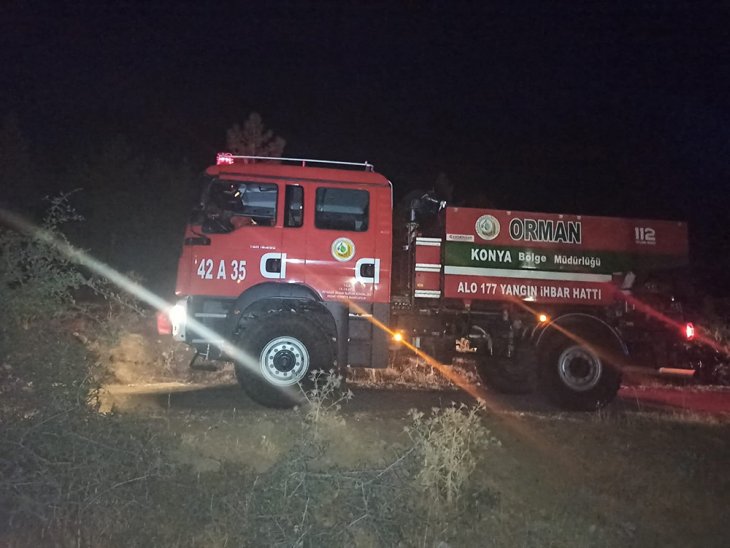 Konya - Seydişehir’deki Kuğulu Parkta orman yangını alarmı