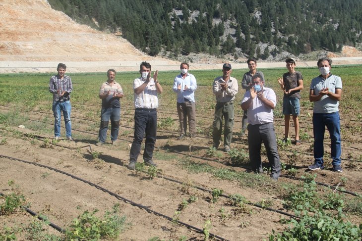 Konya'da çiftçiler, zararlarını karşılamayan sigorta şirketini tarlada protesto etti