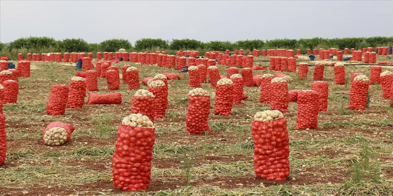 Patateste ihracat ön izin şartının kaldırılması çiftçiye nefes aldıracak