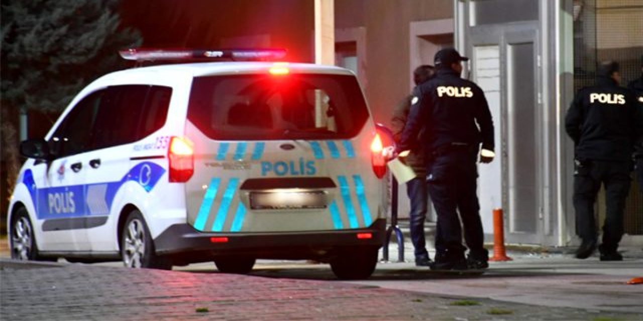 Kadın doktorun, kediye kıyma verdiği için doktor eşi tarafından dövüldüğü iddiası