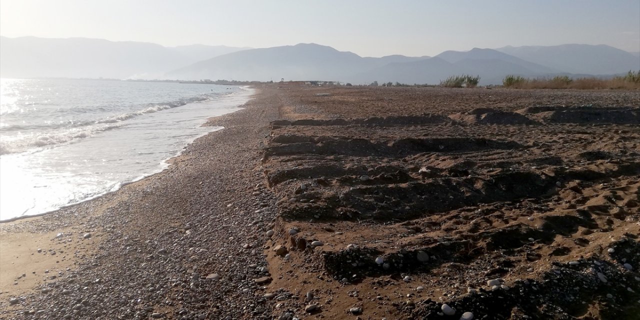 Caretta carettaların üreme alanına iş makinesiyle girildi! Belediyeye 442 bin lira ceza