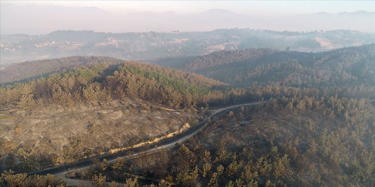 Bakan Pakdemirli: Adana Kozan'daki orman yangını kontrol altına alındı
