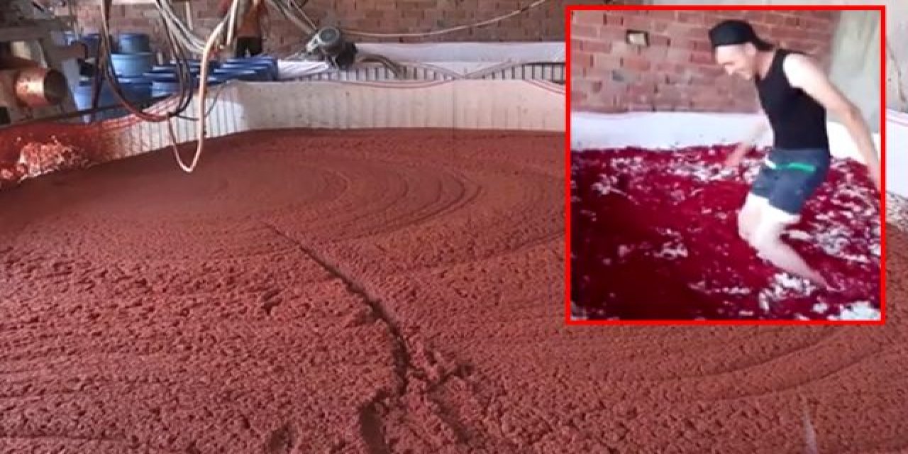 Salça üretim tesisindeki iğrenç görüntüleri bakanlık affetmedi