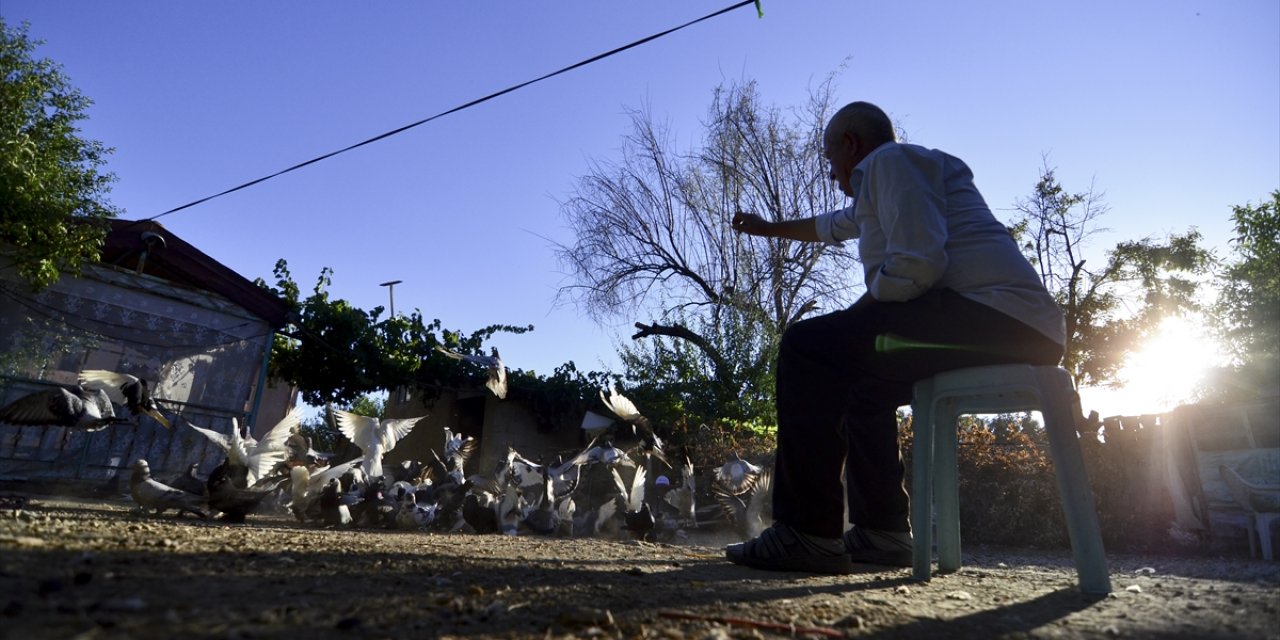 Konyalı Muammer amca "evlatlarım" dediği güvercinlerinden 62 yıldır ayrılmıyor