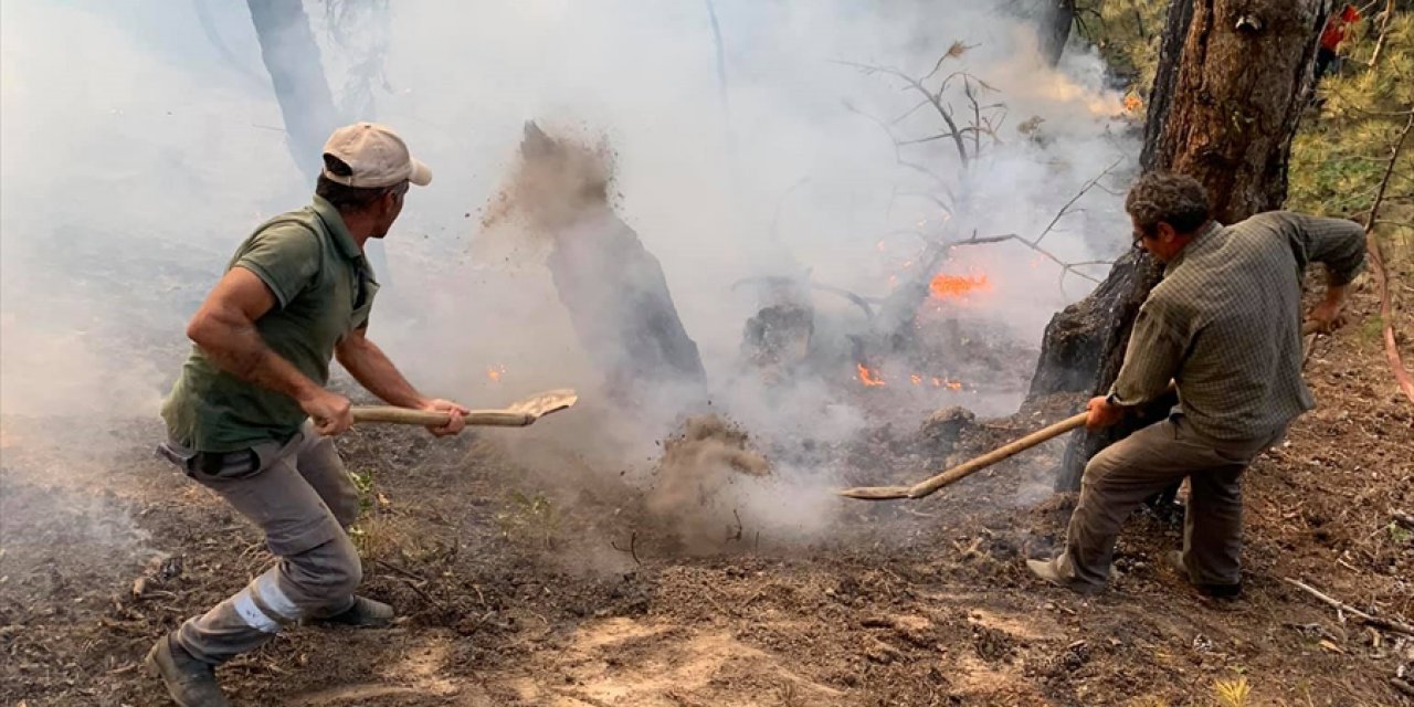Konya'da orman yangını! Bölge halkı da ekiplerle alarma geçti