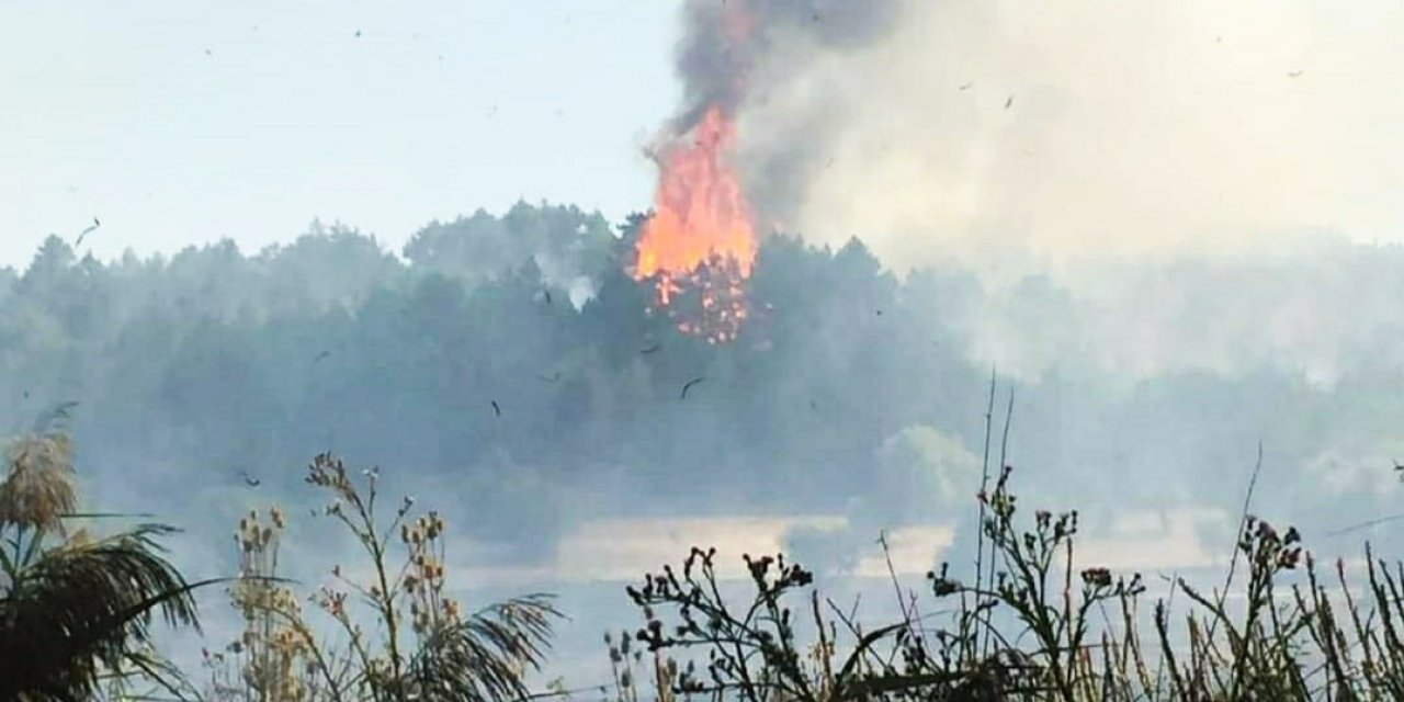 Konya'da anız yangını ormana sıçradı, erken müdahaleyle kontrol altına alındı