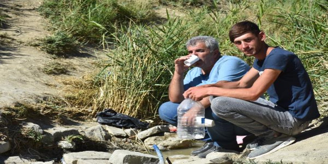 Böbrek taşını eritiyor diye içilen suyun mikrop saçtığı ortaya çıktı