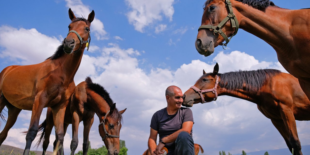 Türkiye'nin şampiyon atları Konya’da bal ve pekmezle yetiştiriliyor