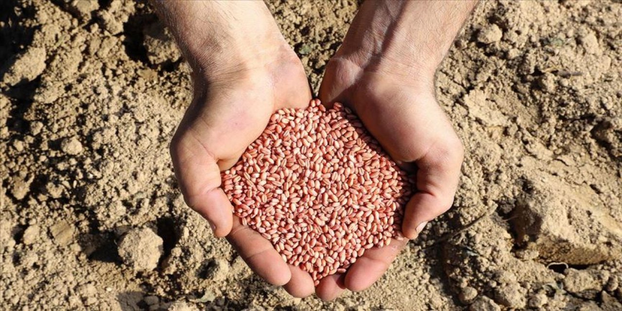 Tarım sektörü Kovid-19 salgınına rağmen büyümeye devam ediyor